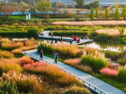 秋光為伴，我們與張村河共繪新景
